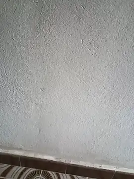 El baby12 online show from 09-24-25, 04:21