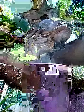 Snapshot of gwadaa9 chatting on 12-22-25, 06:16 gwadaa9 online show from 12-22-25, 06:16