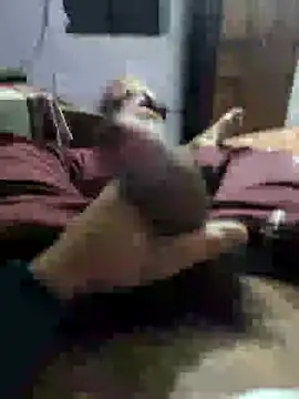 youngbull 21delhi online show from 12-21-24, 08:28