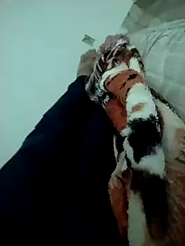 lm279 online show from 02-14-25, 03:47