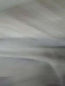 lm279 online show from 11-01-25, 03:58