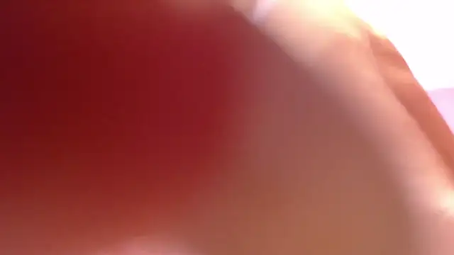 alana storm62 online show from 11-13-25, 05:34