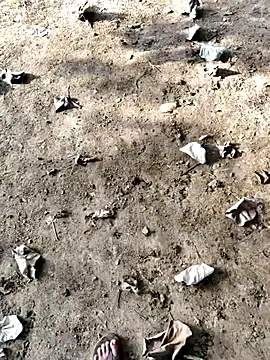 Snapshot of Ishan003 chatting on 09-12-25, 01:38 Ishan003 online show from 09-12-25, 01:38