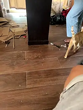 mexi01we online show from 09-16-25, 06:09