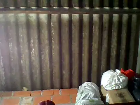 dafne19  online show from 02-16-25, 09:37