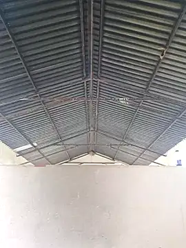 bull Giant online show from 02-20-25, 11:42
