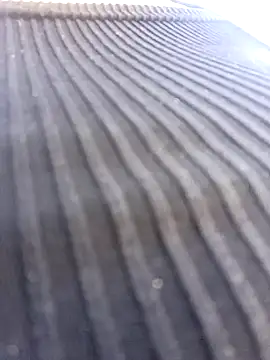 Lesly 10- online show from 01-16-25, 03:13