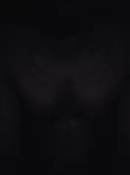 Keshuloveyou online show from 12-20-24, 07:44