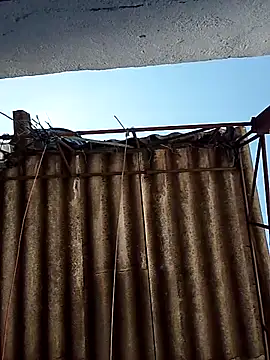 Snapshot of Percybr4561 chatting on 10-25-25, 01:29 Percybr4561 online show from 10-25-25, 01:29