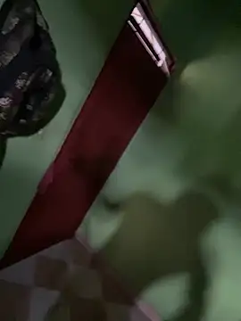 Snapshot of Alphadavid_23 chatting on 02-26-25, 07:16 Alphadavid 23 online show from 02-26-25, 07:16