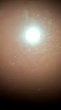 Snapshot of tall_nangu chatting on 02-21-25, 06:04 tall nangu online show from 02-21-25, 06:04