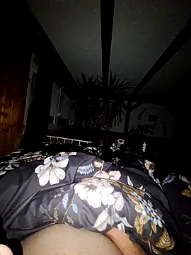 schlonzi81 online show from 12-29-24, 10:25