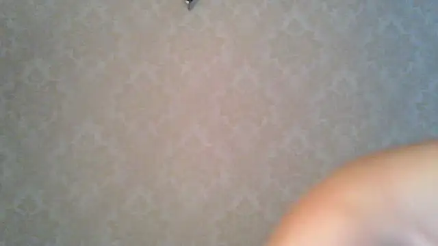 Kashtanka  online show from 10-27-25, 07:56