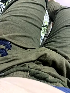 WildDick0007 online show from 11-11-25, 05:35