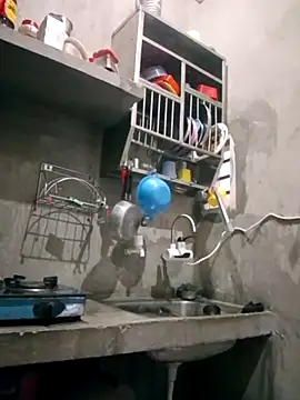 VyingAviary online show from 02-11-25, 04:01