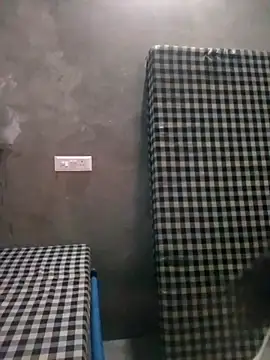 VyingAviary online show from 02-21-25, 05:09