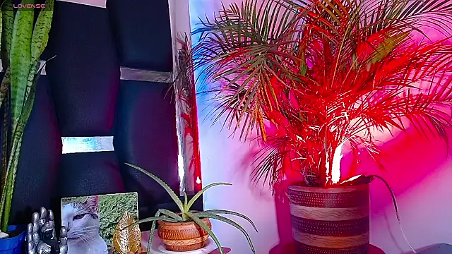 Snapshot of RyanRizzo chatting on 01-22-25, 07:24 RyanRizzo online show from 01-22-25, 07:24