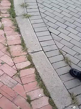 sophie banger online show from 11-18-25, 04:33