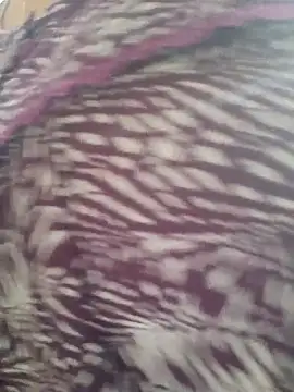 samitasharma online show from 11-14-25, 04:00