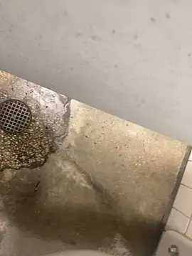 zeekBbc online show from 12-10-24, 08:38