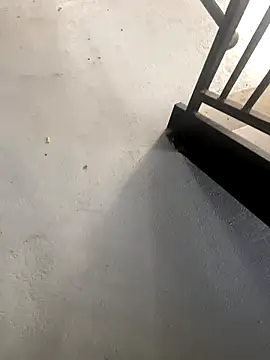 zeekBbc online show from 10-27-25, 02:21