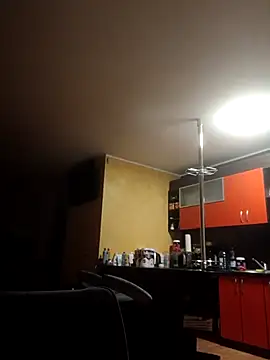 Snapshot of X46x chatting on 03-08-26, 04:05 X46x online show from 03-08-26, 04:05