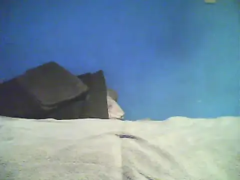 Vago745 online show from 12-02-24, 10:50