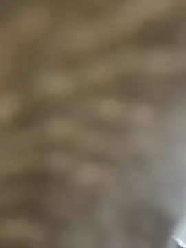 BhadBhad Kitty online show from 02-14-25, 06:45