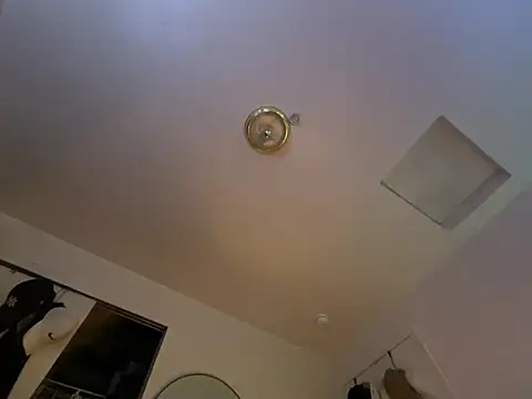 Snapshot of ganosex chatting on 12-24-24, 07:17 ganosex online show from 12-24-24, 07:17