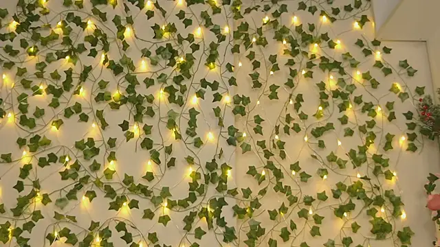 Brenda M00n online show from 01-05-25, 09:25