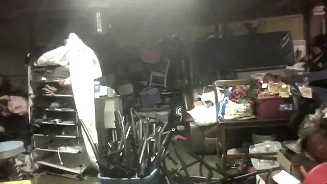 lilbishmiss online show from 03-11-26, 04:51