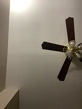 islandvybee55 online show from 03-17-26, 12:48