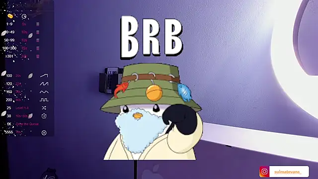 Snapshot of _sulmatevans_ chatting on 01-24-25, 11:48  sulmatevans  online show from 01-24-25, 11:48