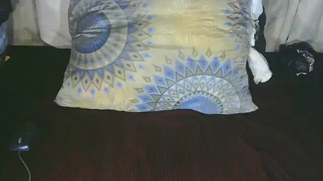 Snapshot of TransCya2024 chatting on 10-11-25, 02:26 TransCya2024 online show from 10-11-25, 02:26