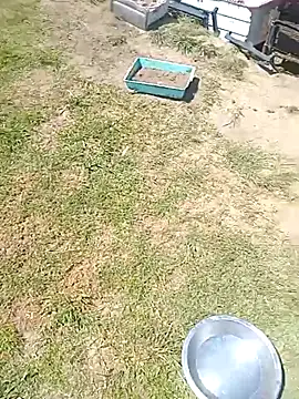 Snapshot of hornyhippies0080 chatting on 03-04-26, 09:59 hornyhippies0080 online show from 03-04-26, 09:59