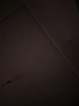 Snapshot of eddy355 chatting on 10-26-25, 09:31 eddy355 online show from 10-26-25, 09:31