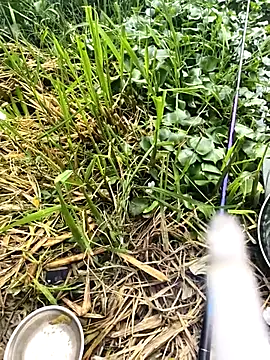 huzi518 online show from 09-27-25, 03:33