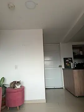 DakotaShelby online show from 04-06-26, 10:22