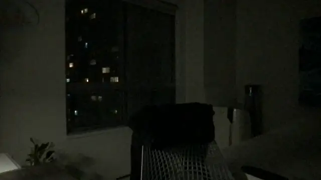 Gingerbushguy online show from 12-29-24, 09:39