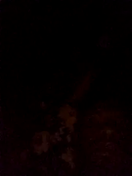 Hilkanna  online show from 03-08-26, 09:29