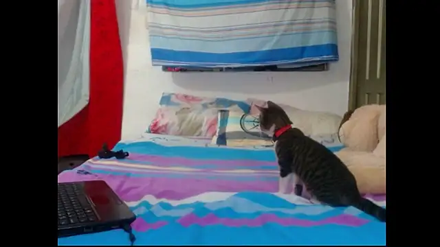 perverted couple - online show from 12-23-24, 01:08