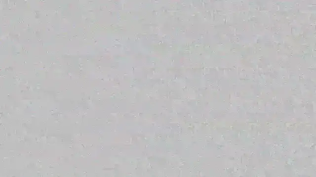 mara jackson  online show from 03-14-25, 11:00