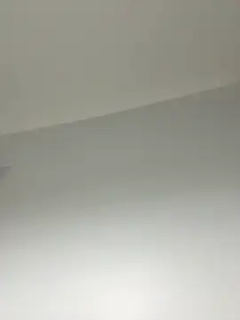 matheuslinzs online show from 12-16-24, 04:55