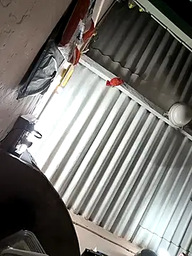 arppyyyxx online show from 10-22-25, 07:35