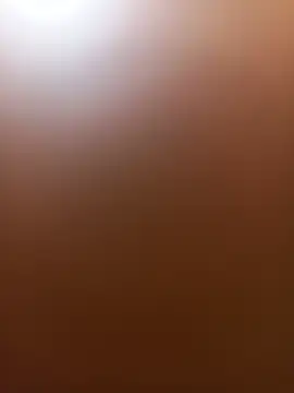 wildfox566 online show from 06-14-26, 03:52