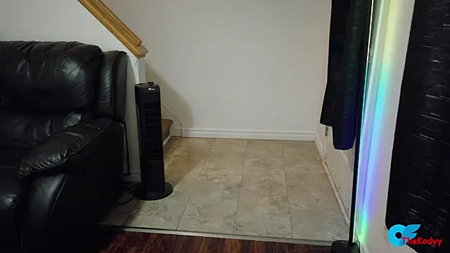 Thekodyy online show from 06-18-26, 04:46