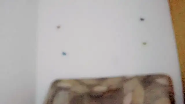 TatiGil online show from 04-10-26, 08:46