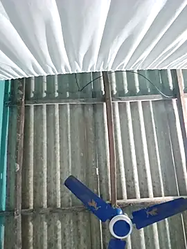 hotbaby 5 online show from 11-14-25, 05:17