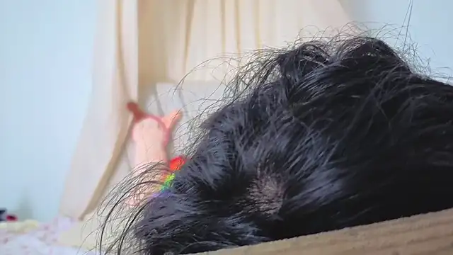 Snapshot of Katiaflex chatting on 03-02-26, 03:41 Katiaflex online show from 03-02-26, 03:41