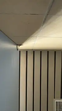 Snapshot of frnk30151 chatting on 09-21-25, 03:02 frnk30151 online show from 09-21-25, 03:02